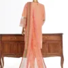 Bin Saeed Stitched 3 Piece Luxury Plain Cotton Vol-03 Collection-LF-1726-Peach - Image 3